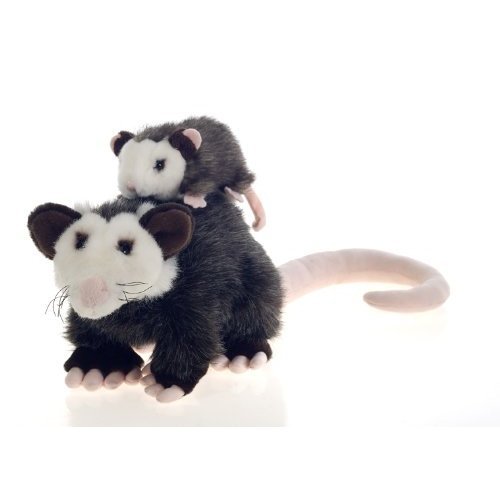 pammy Opossum & Petunia Possom head to North Carolina
